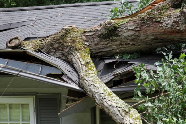 Cost of Storm Remediation in Muncie