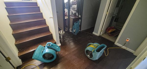 Water Damage Remediation in Muncie