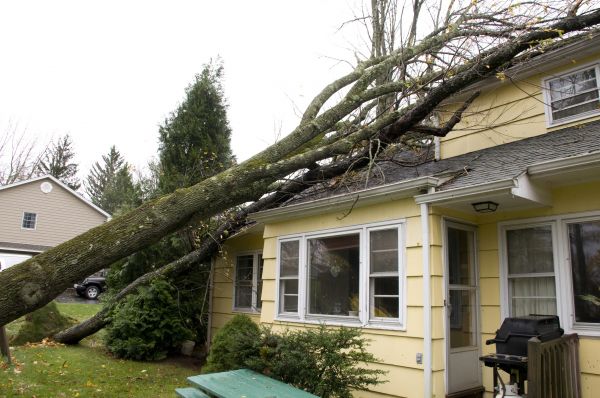 Hurricane Damage Repair in Muncie