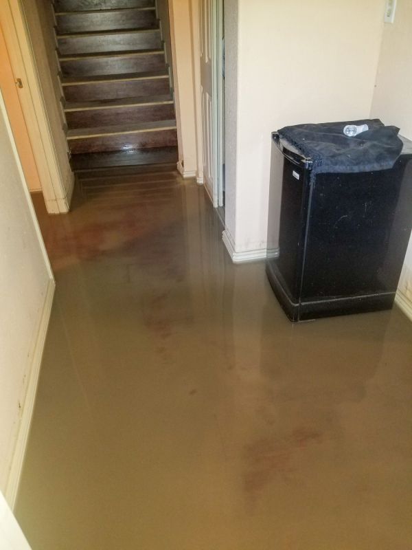 Basement Restoration Service