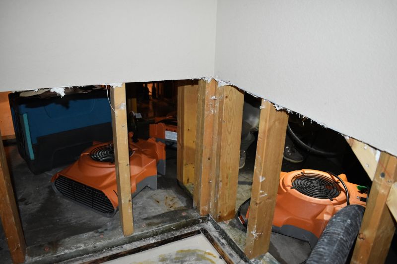 Basement Water Extraction