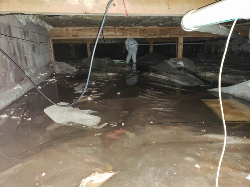 Emergency Water Removal