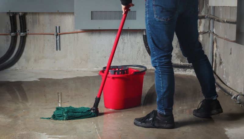 Flood Cleanup Service