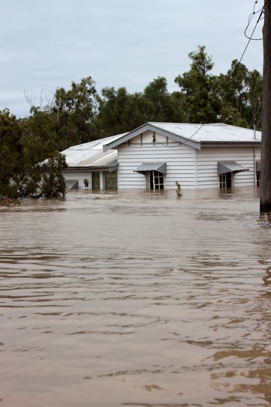 Storm Remediation